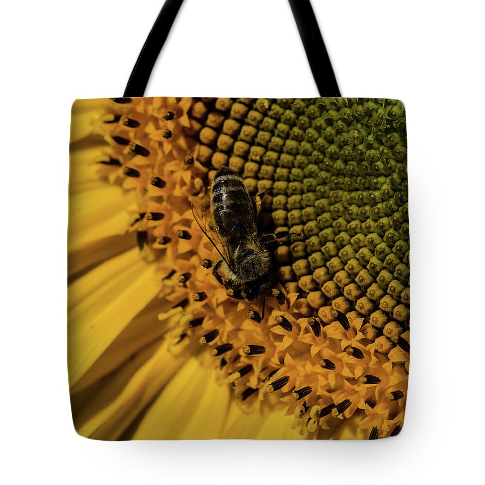 Winterpacht Tote Bag featuring the photograph Yellow and Black by Miguel Winterpacht