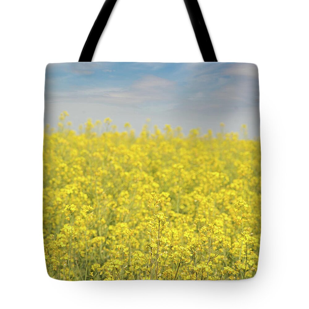 Canola Tote Bag featuring the photograph Yellow and Blue by Sari ONeal