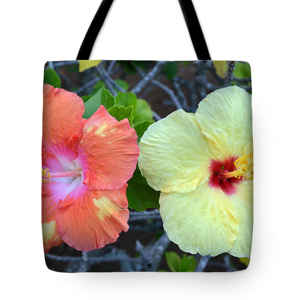 Flower Tote Bag featuring the photograph Yellow and Orange Hibiscus Flowers by Amy Fose