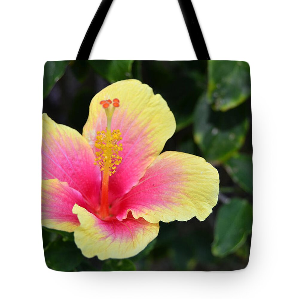 Flower Tote Bag featuring the photograph Yellow and Pink Hibiscus 1 by Amy Fose
