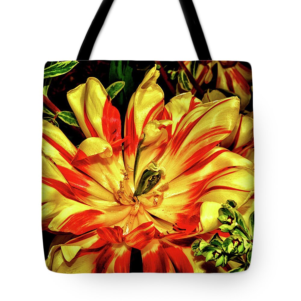 Tulip Tote Bag featuring the photograph Yellow And Red Tulip 003 by George Bostian