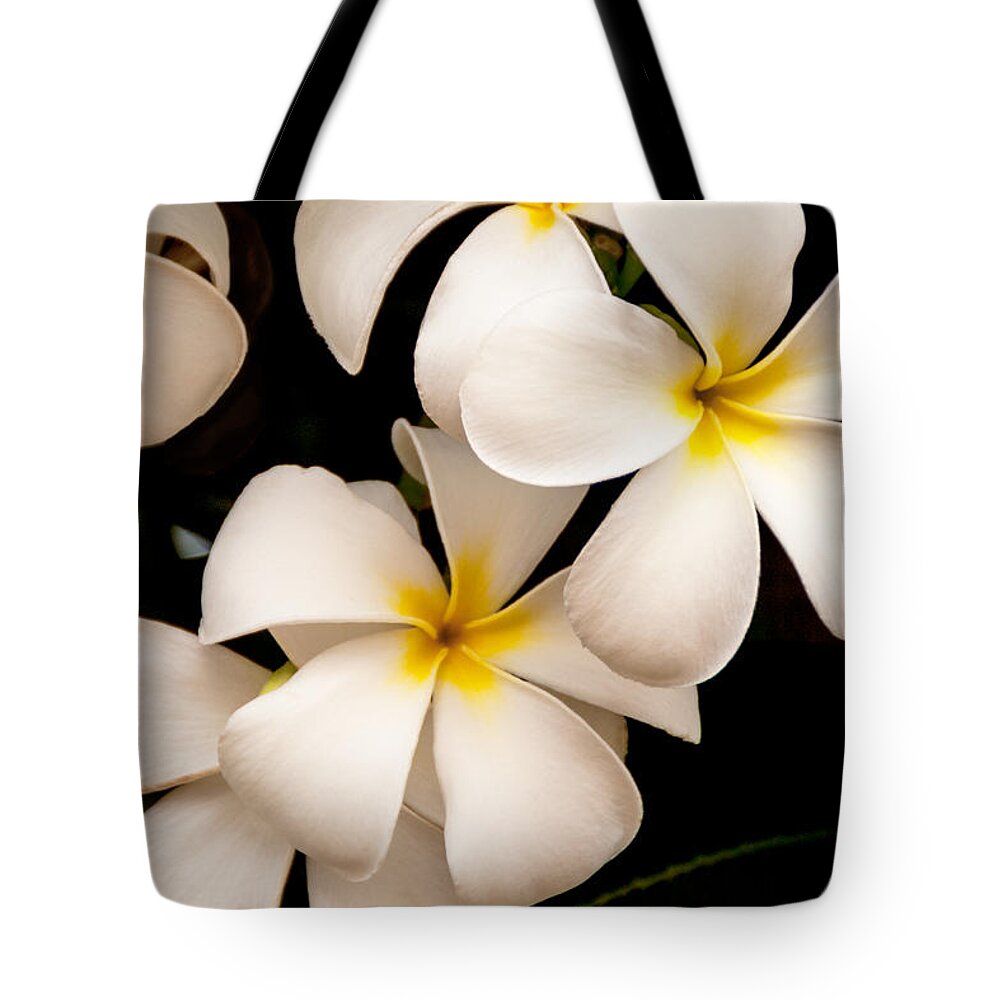 Yellow And White Plumeria Flower Frangipani Tote Bag featuring the photograph Yellow and White Plumeria by Brian Harig