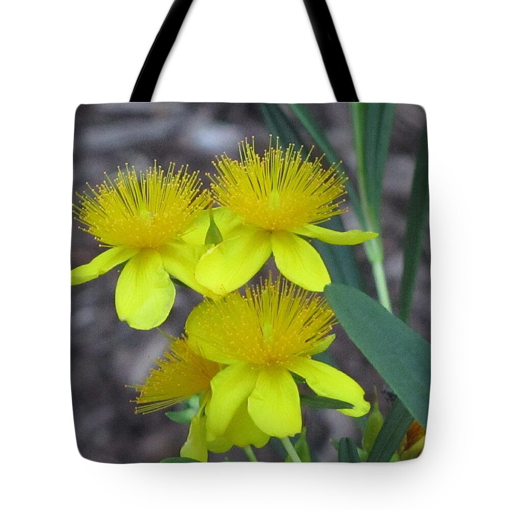 Flora Tote Bag featuring the photograph Yellow Beauty by Vijay Sharon Govender