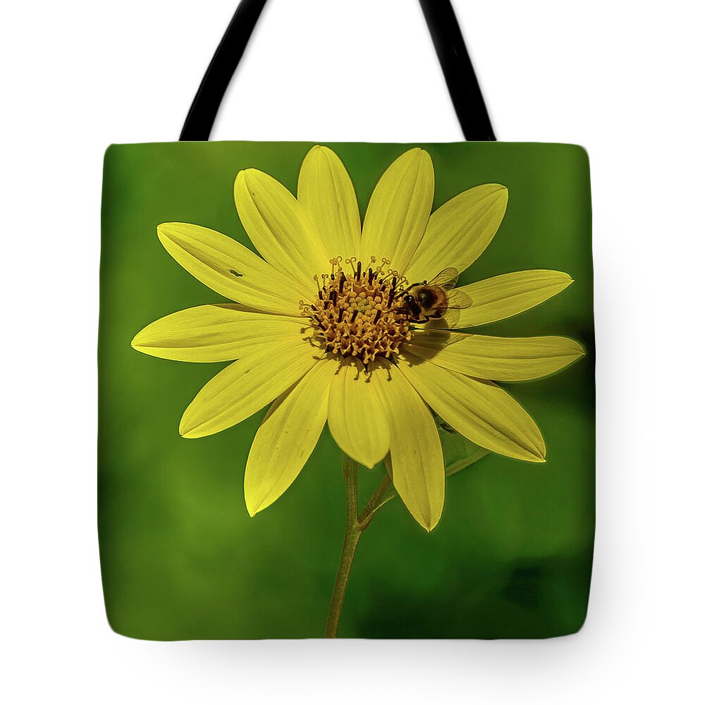 Bee Tote Bag featuring the photograph Yellow - Bee by Jerry Cahill
