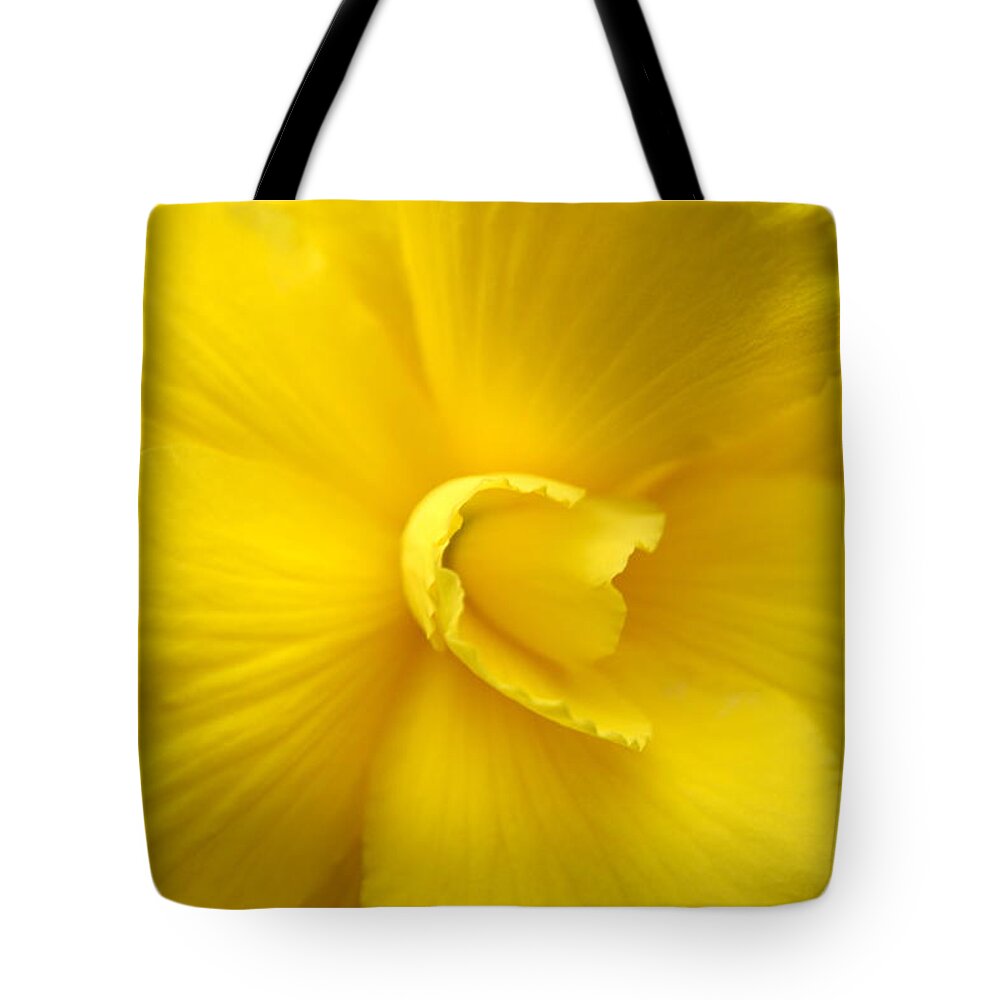 Begonia Tote Bag featuring the photograph Yellow Begonia by Beth Collins