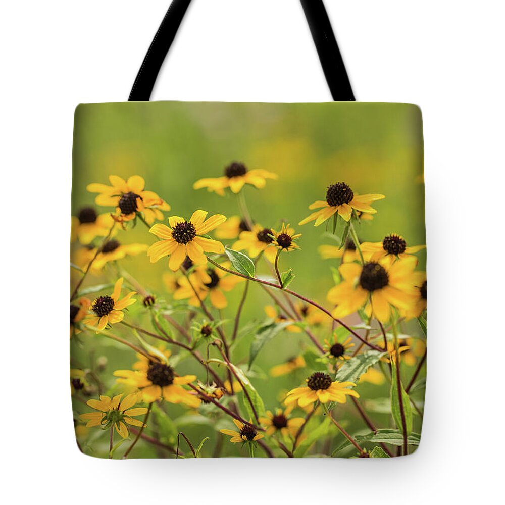 August Tote Bag featuring the photograph Yellow Black Eyed Susan Wildflowers In Summer by Carol Mellema