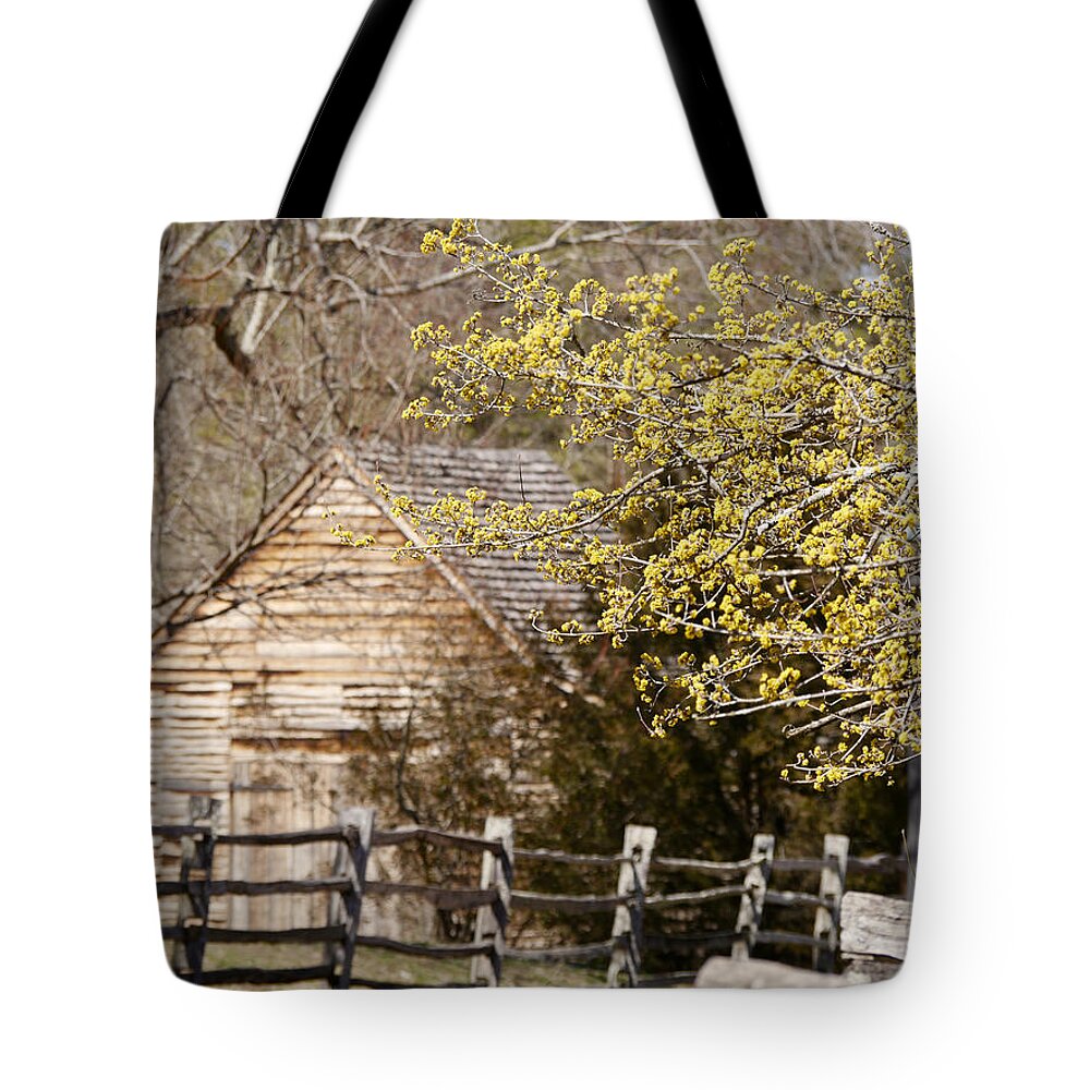 Colonial Williamsburg Tote Bag featuring the photograph Yellow Blooms in Williamsburg by Rachel Morrison