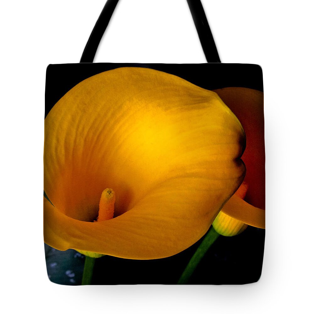 Flowers Tote Bag featuring the photograph Yellow Calla Lilies - 02 by Tony Grider