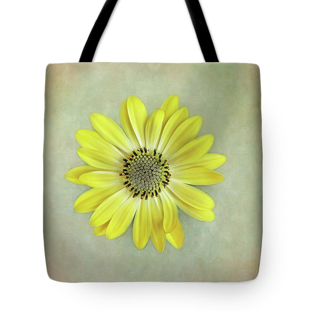 Bath Decor Tote Bag featuring the photograph Yellow Cape Daisy by David and Carol Kelly