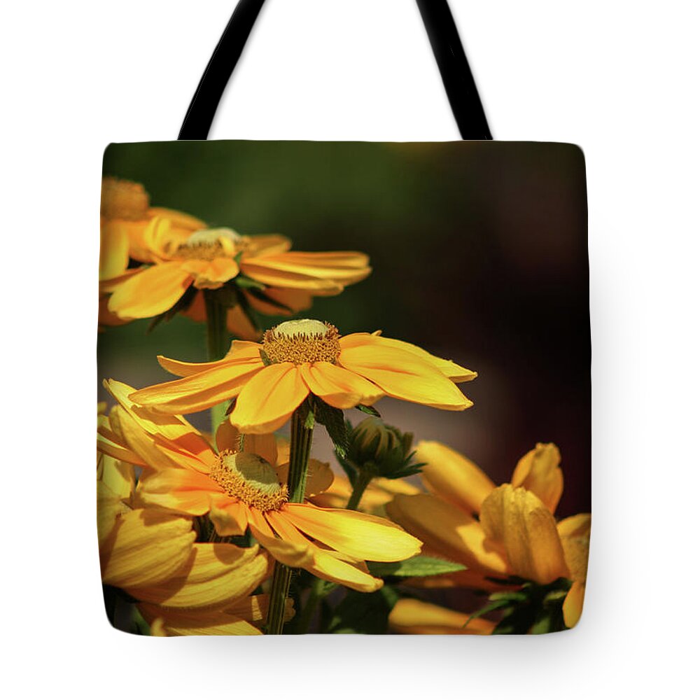 Yellow Cascade Tote Bag featuring the photograph Yellow Cascade 2955 H_2 by Steven Ward