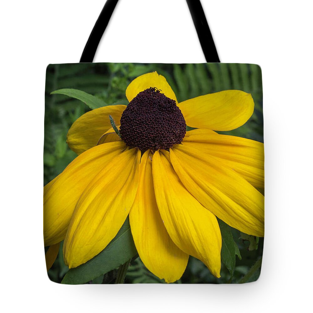 Coneflower Tote Bag featuring the photograph Yellow Coneflower by Arlene Carmel