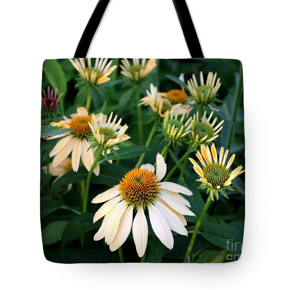 Flora Tote Bag featuring the photograph Yellow Coneflower by Marcia Lee Jones