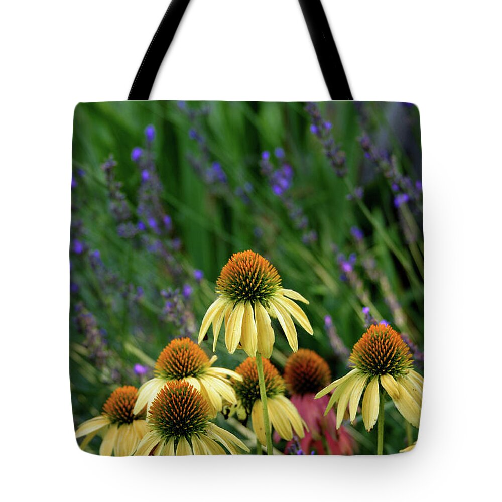 Yellow Coneflowers Tote Bag featuring the photograph Yellow Coneflowers and Lavender 1633 H_2 by Steven Ward