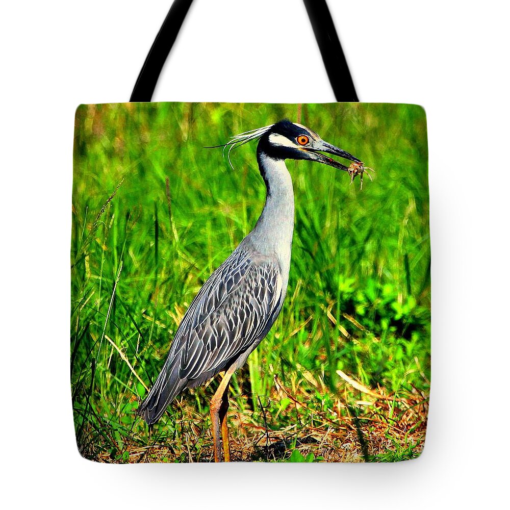 Yellow-crested Night Heron Tote Bag featuring the photograph Yellow Crested Night Heron Catches a Fiddler Crab by Barbara Bowen