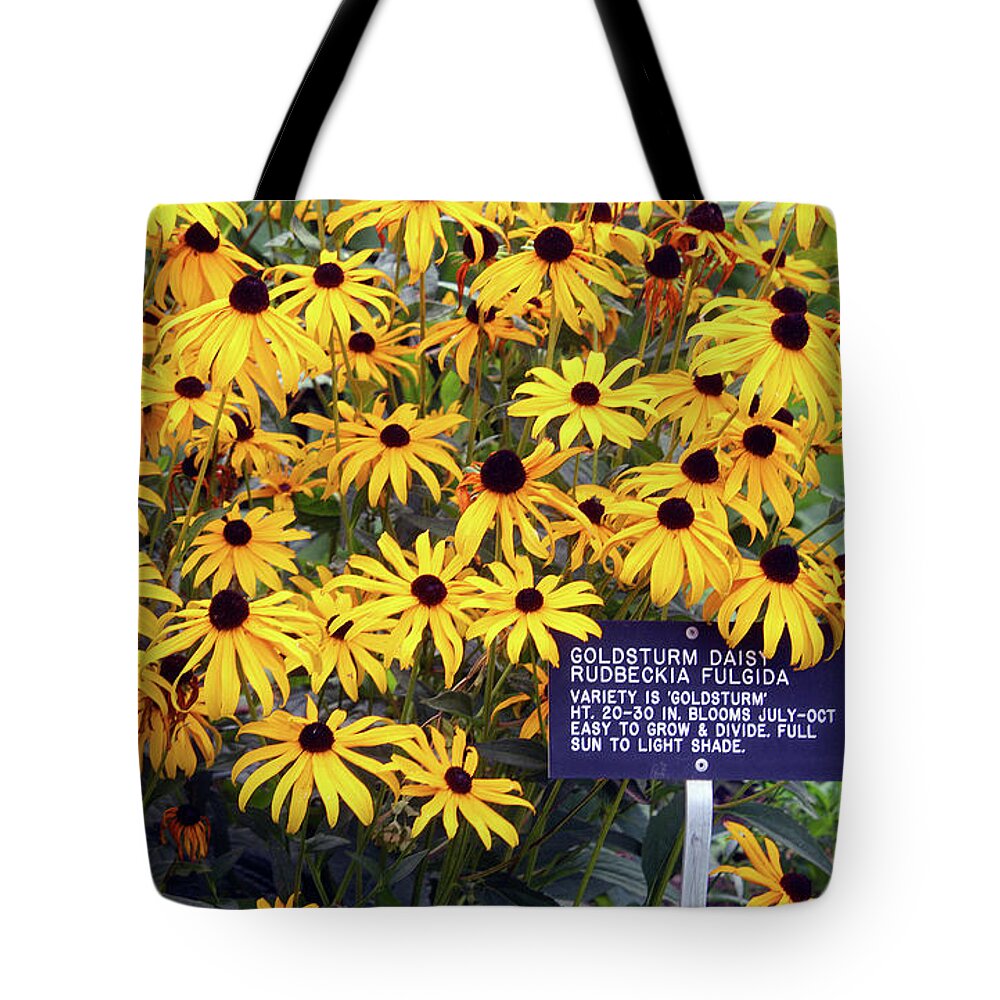 Flower Tote Bag featuring the photograph Yellow Daisies by Ellen Tully
