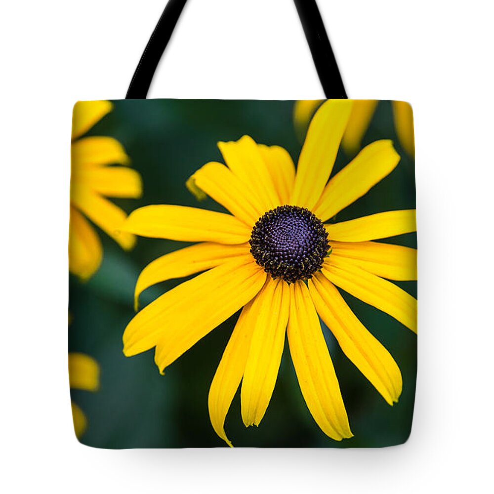  Tote Bag featuring the photograph Yellow Daisy by David Downs