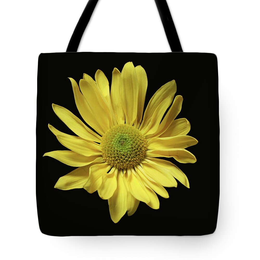 Yellow Daisy Tote Bag featuring the photograph Yellow Daisy by Krisjan Krafchak
