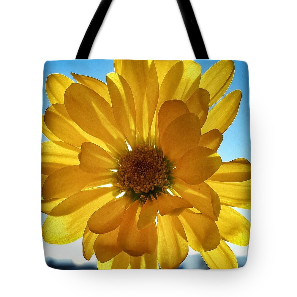 Yellow Tote Bag featuring the photograph Yellow Daisy by Megan Ater