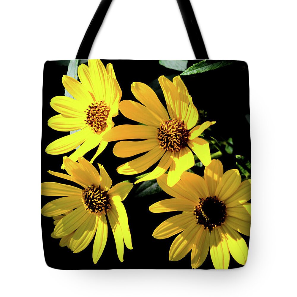 Nature Tote Bag featuring the photograph Yellow Dasies by Bradley Dever