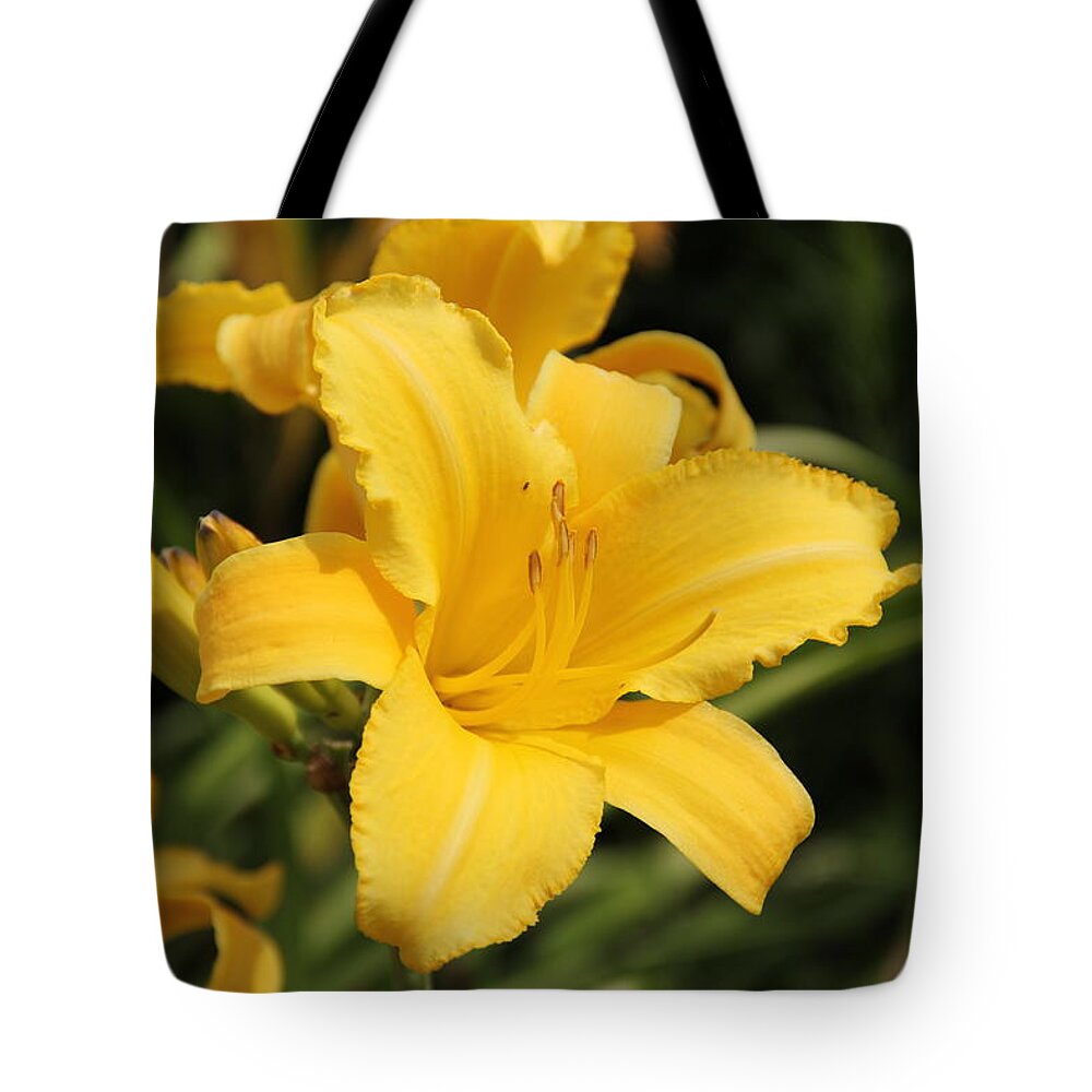 Lily Tote Bag featuring the photograph Yellow Daylily by Allen Nice-Webb