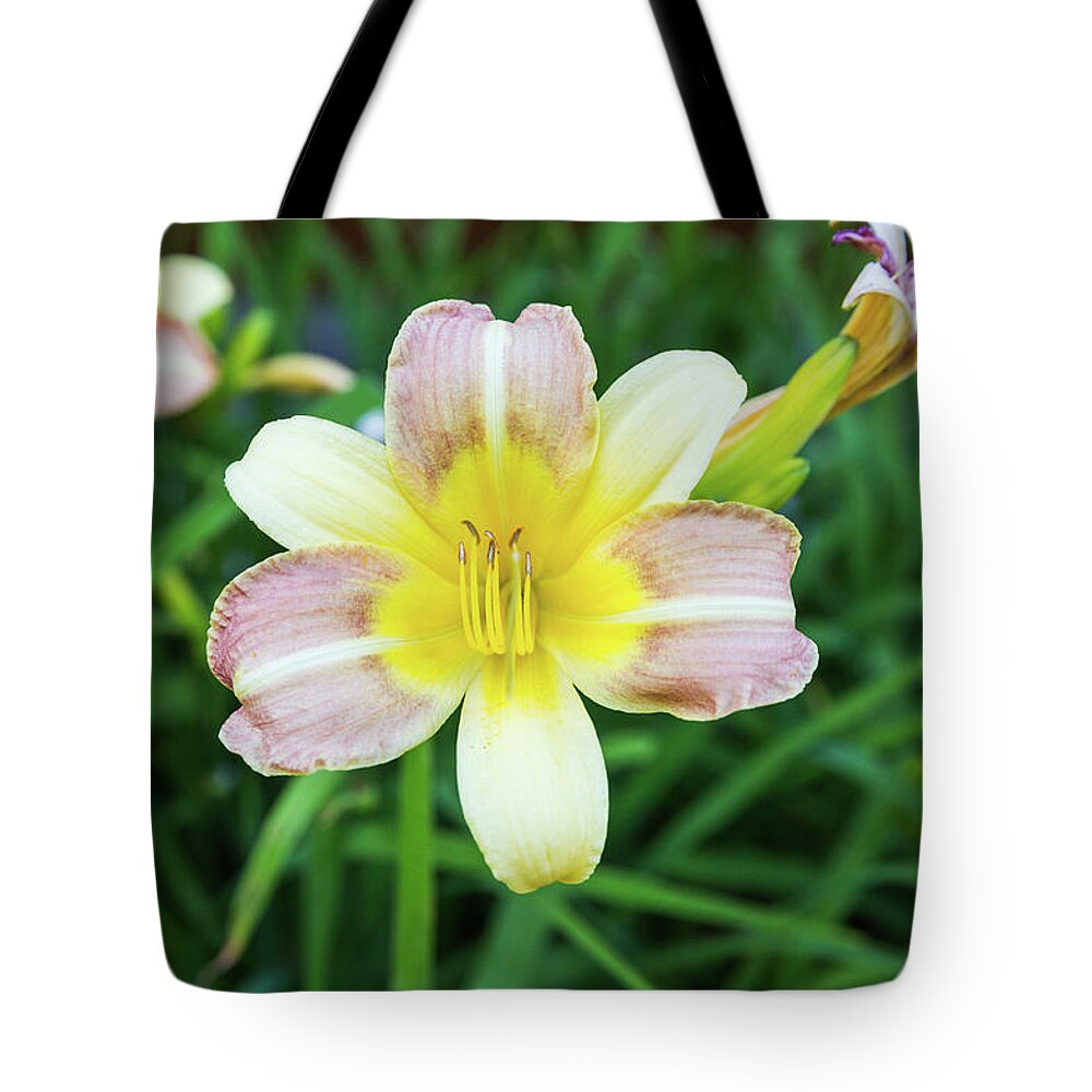 Daylily Tote Bag featuring the photograph Yellow Daylily by D K Wall