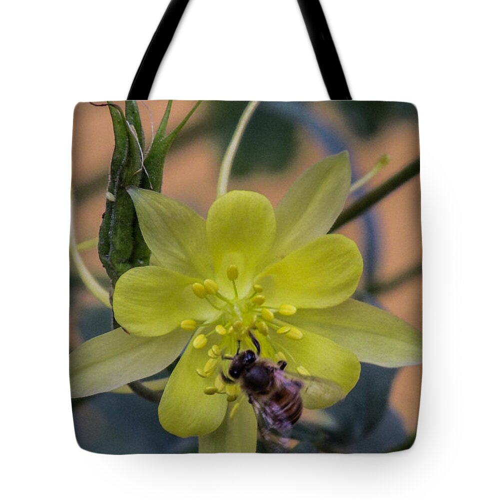 Nature Tote Bag featuring the photograph Yellow Flower 5 by Christy Garavetto