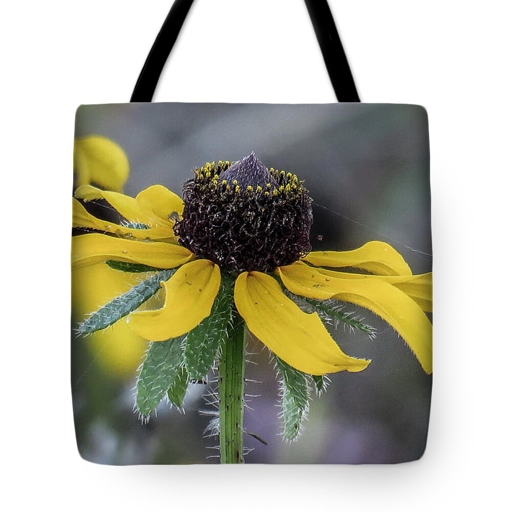 Nature Tote Bag featuring the photograph Yellow Flower 6 by Christy Garavetto