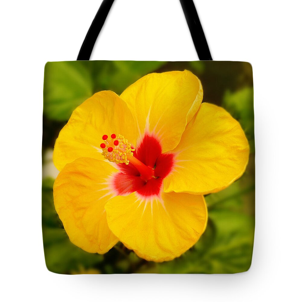 Hibiscus Tote Bag featuring the photograph Yellow Hibiscus by Mike McGlothlen