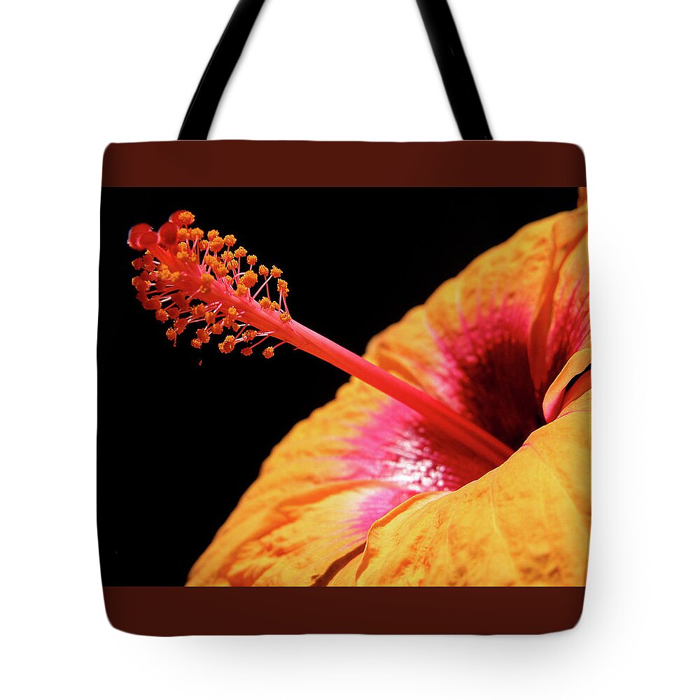 Hibiscus Tote Bag featuring the photograph Yellow Hibiscus by Marie Hicks