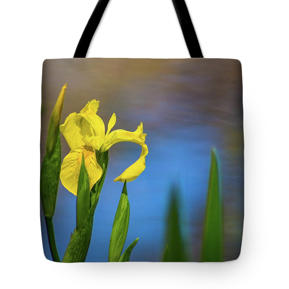 Iris Tote Bag featuring the photograph Yellow Iris by Pond by Lynne Jenkins