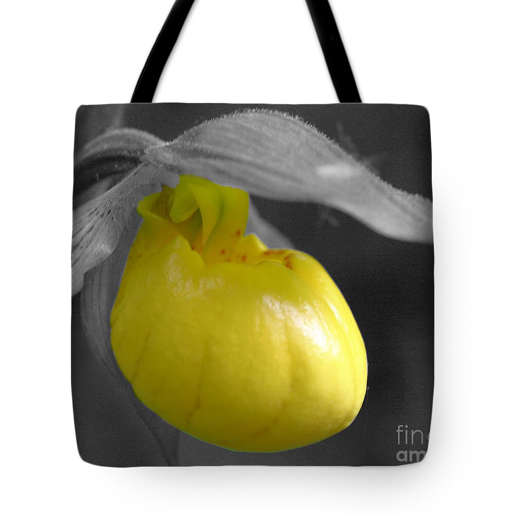 Lady Slipper Tote Bag featuring the photograph Yellow Lady Slipper Partial by Smilin Eyes Treasures