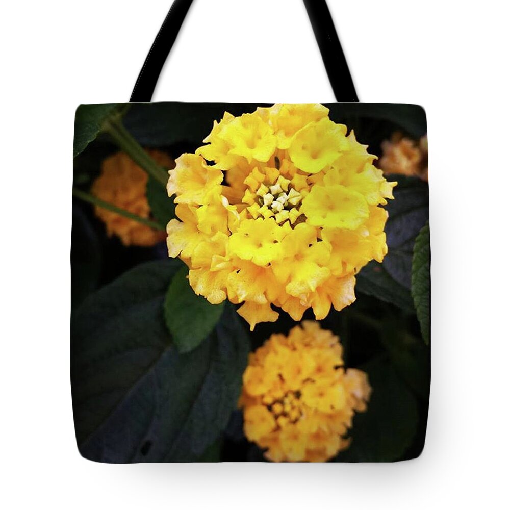 Beautifulvermont Tote Bag featuring the photograph Yellow Lantanas Along The Scenic Drive by Mr Photojimsf