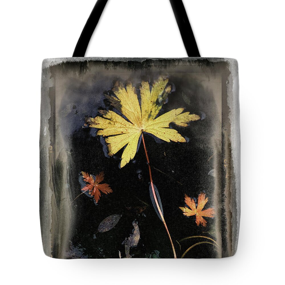 Landscape Tote Bag featuring the photograph Yellow Leaf by Craig J Satterlee