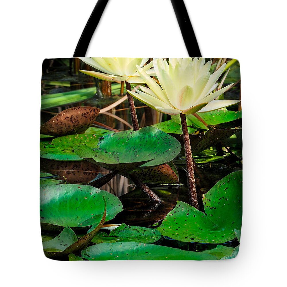 Yellow Lily Tote Bag featuring the photograph Yellow Lily by Paula Ponath