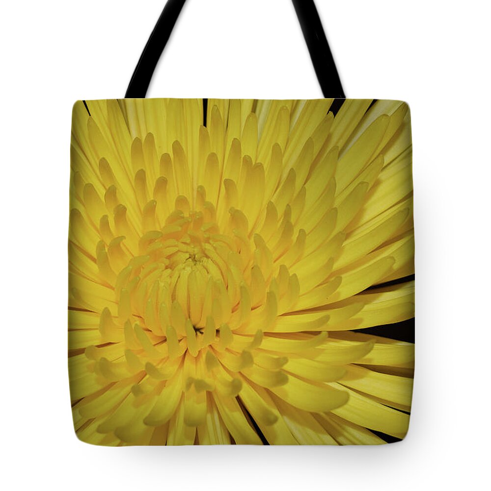 Photograph Tote Bag featuring the photograph Yellow Mum by Larah McElroy