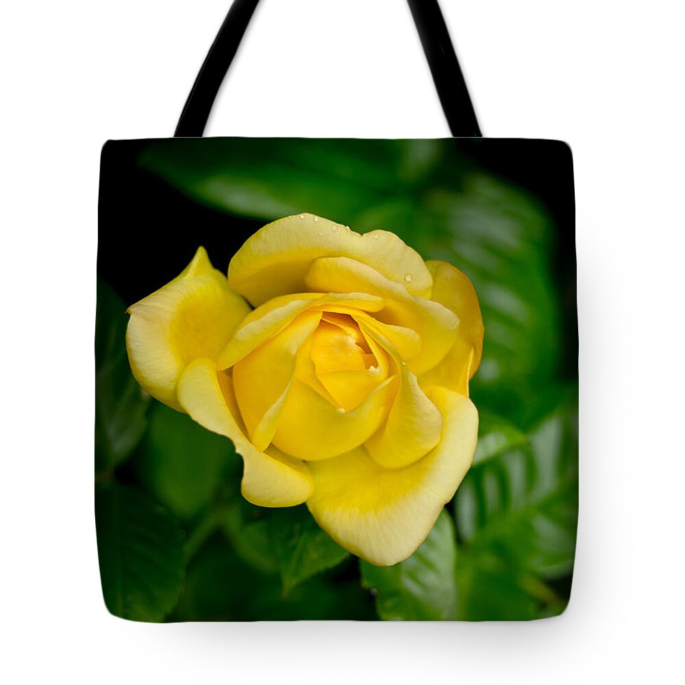 Rose Tote Bag featuring the photograph Yellow on green. by Elena Perelman