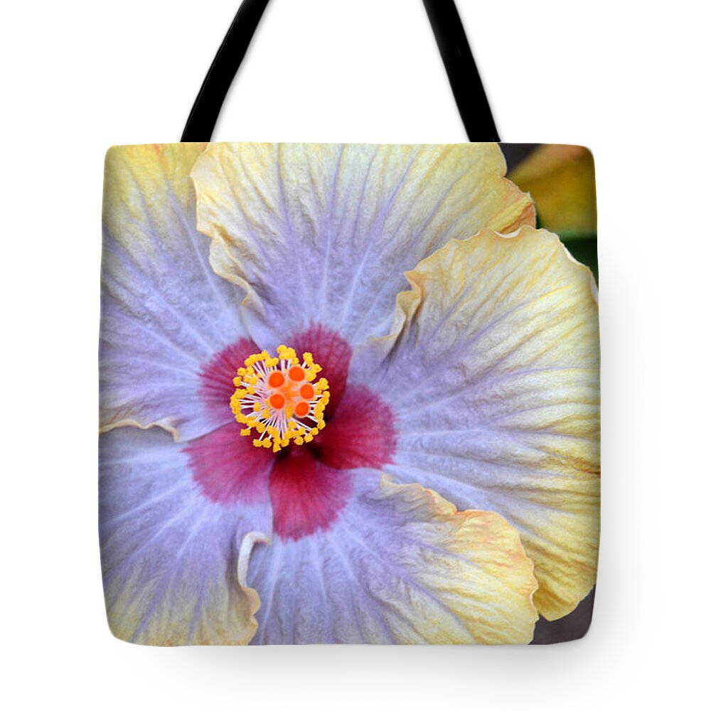 Flower Tote Bag featuring the photograph Yellow Purple Hibiscus 3 by Amy Fose