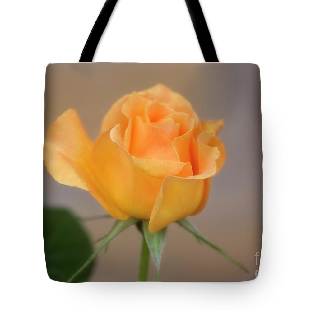 Flower Tote Bag featuring the photograph Yellow Rose of Texas by Joan Bertucci