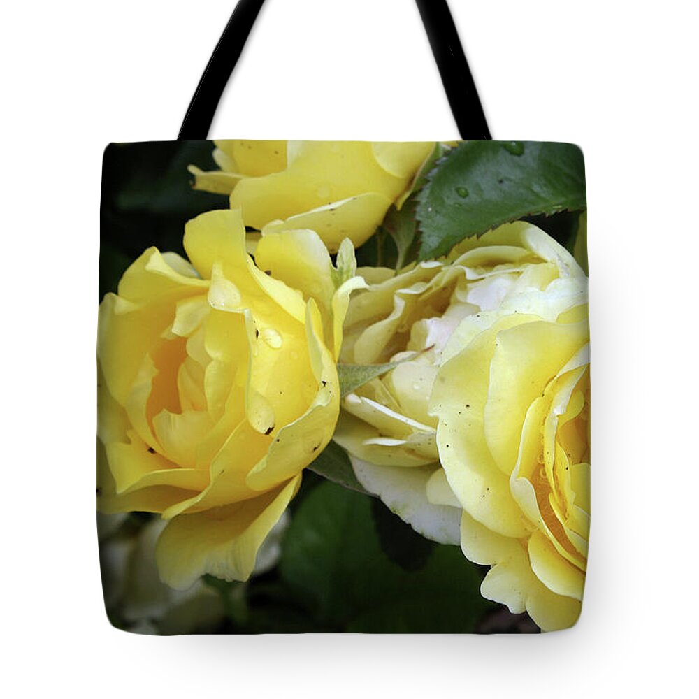 Rose Tote Bag featuring the photograph Yellow Roses by Ellen Tully