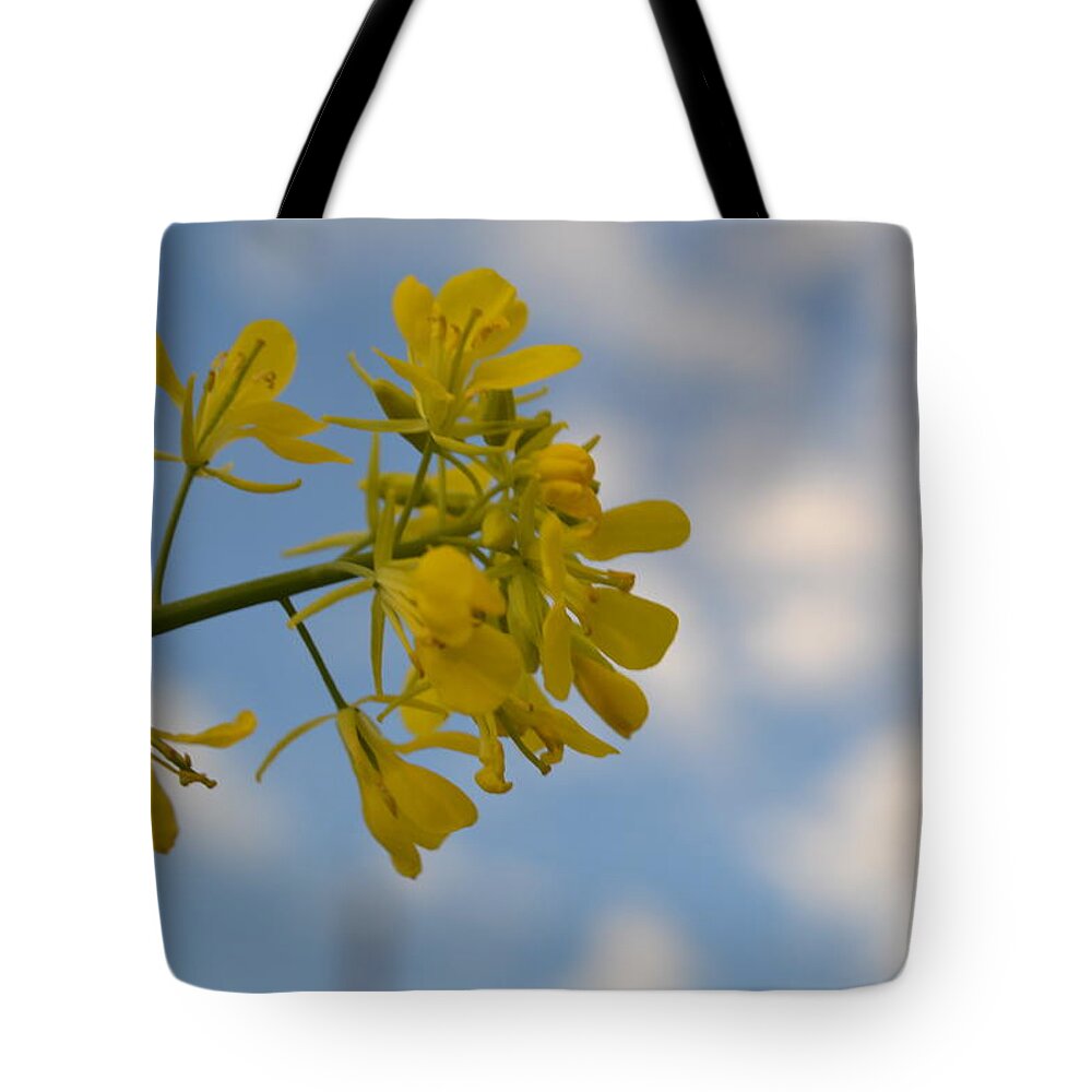  Tote Bag featuring the photograph Yellow Sky by Jeannie Marie Sloan