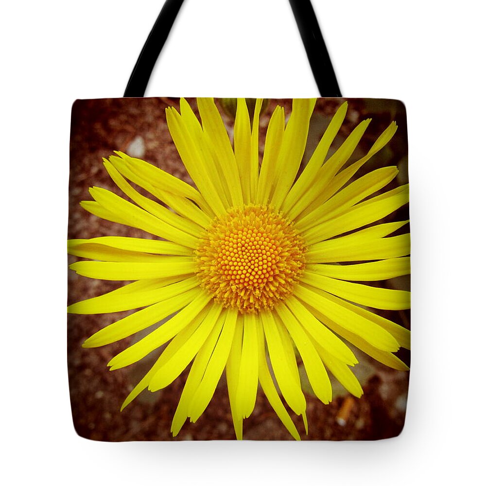 Flower Tote Bag featuring the photograph yellow Spring by Vesna Martinjak