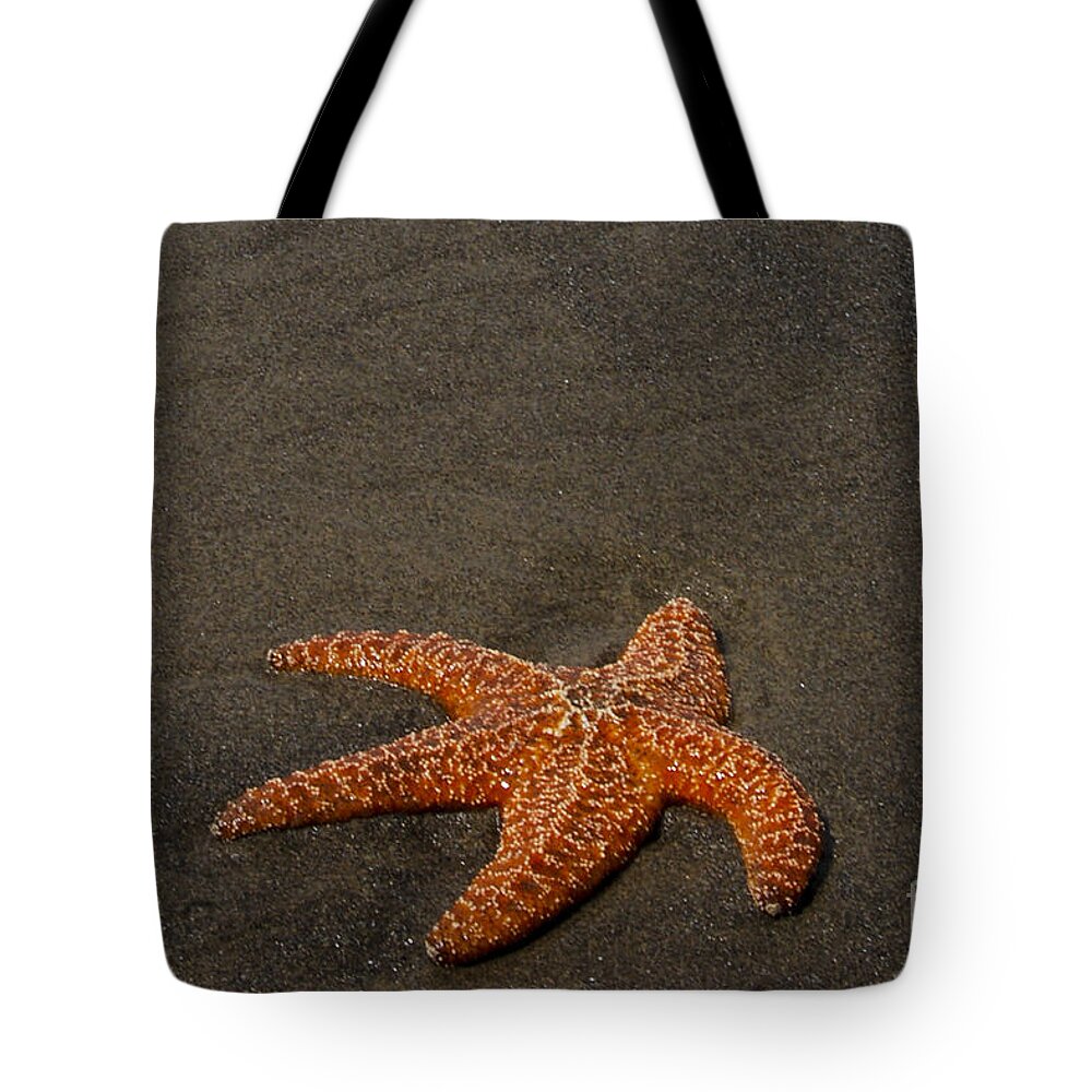  Tote Bag featuring the photograph Orange Starfish on Oregon Beach by Chuck Flewelling