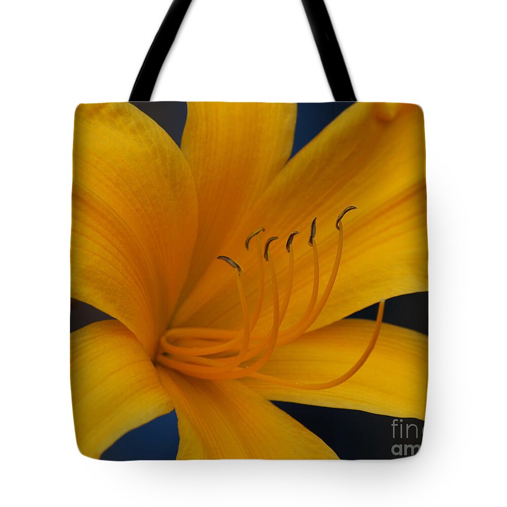 Flower Tote Bag featuring the photograph Yellow Tiger Lilly by Grace Grogan