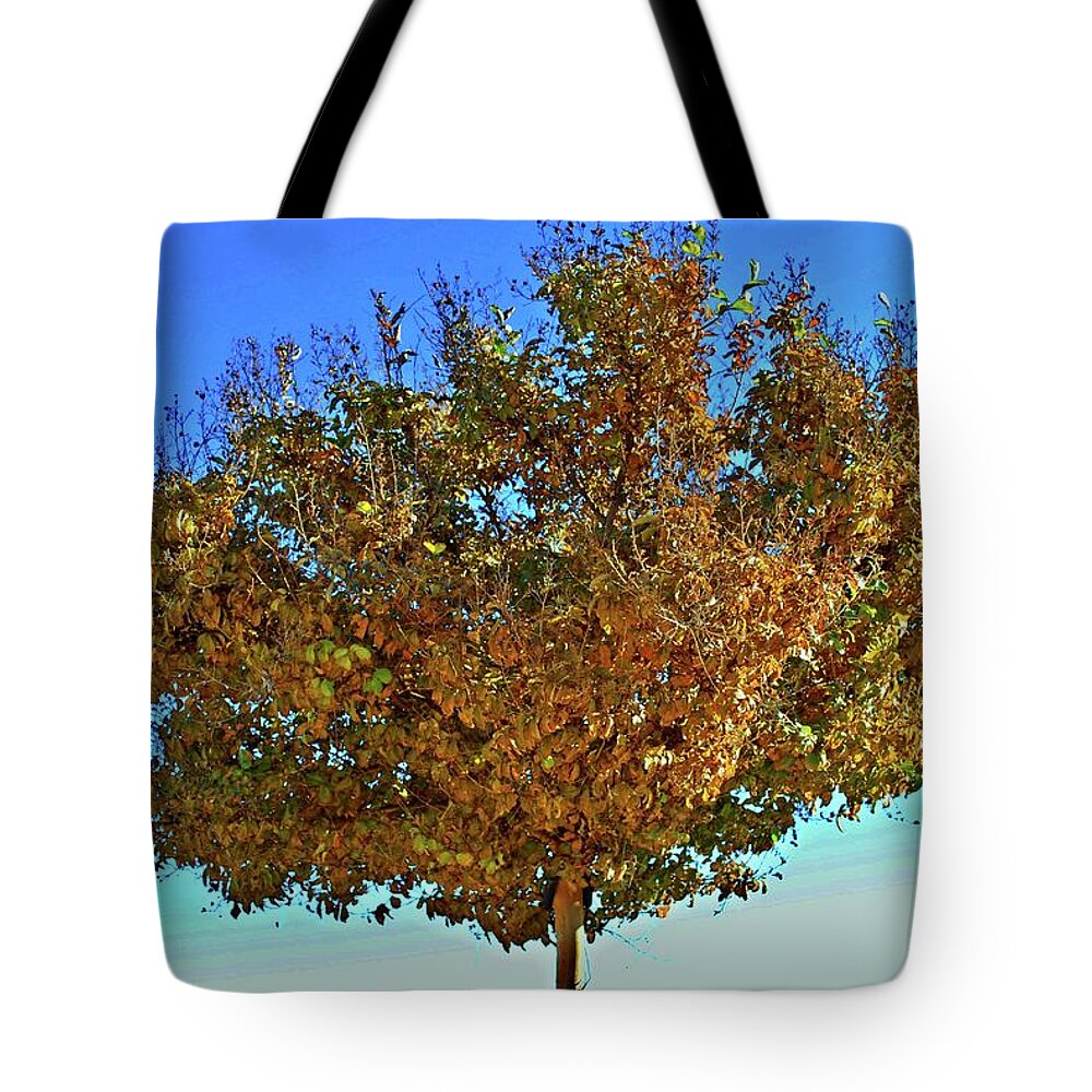 Tree Tote Bag featuring the photograph Yellow Tree Blue Sky by Matt Quest