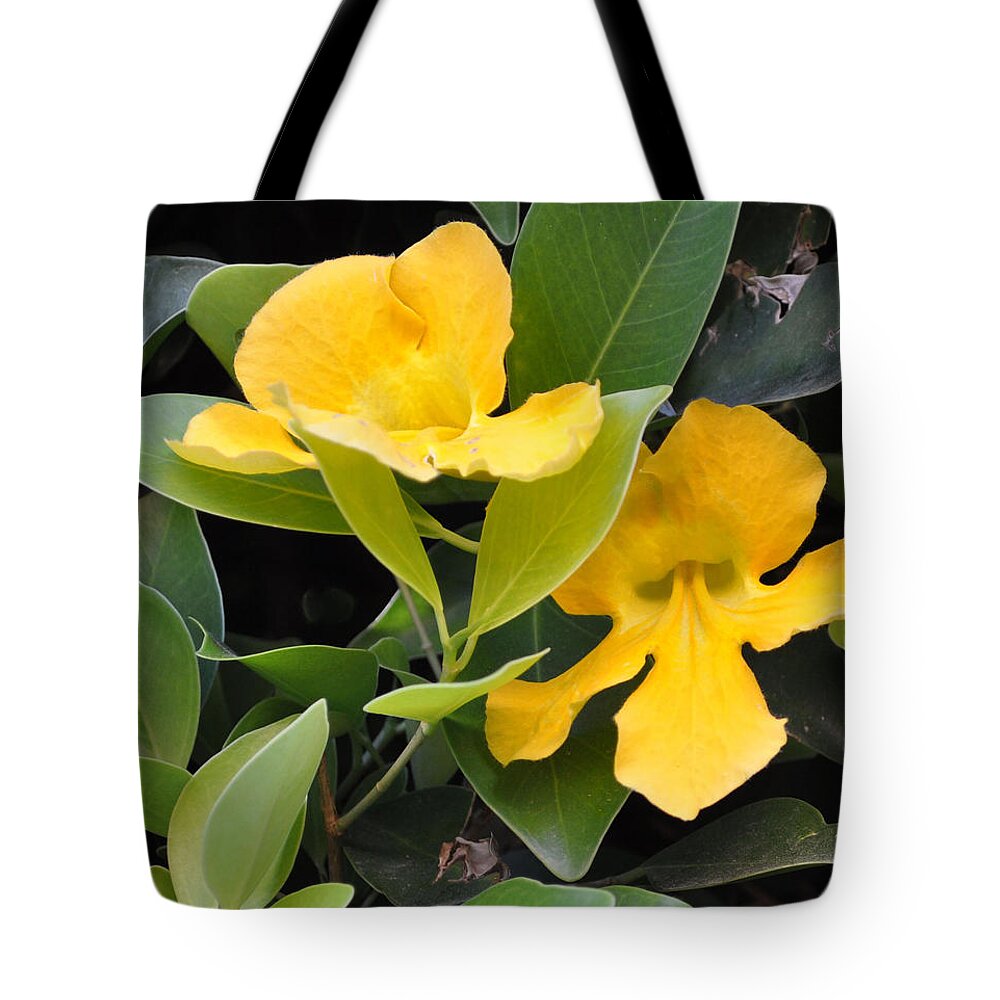 Trumpets and Flowers Tote bag