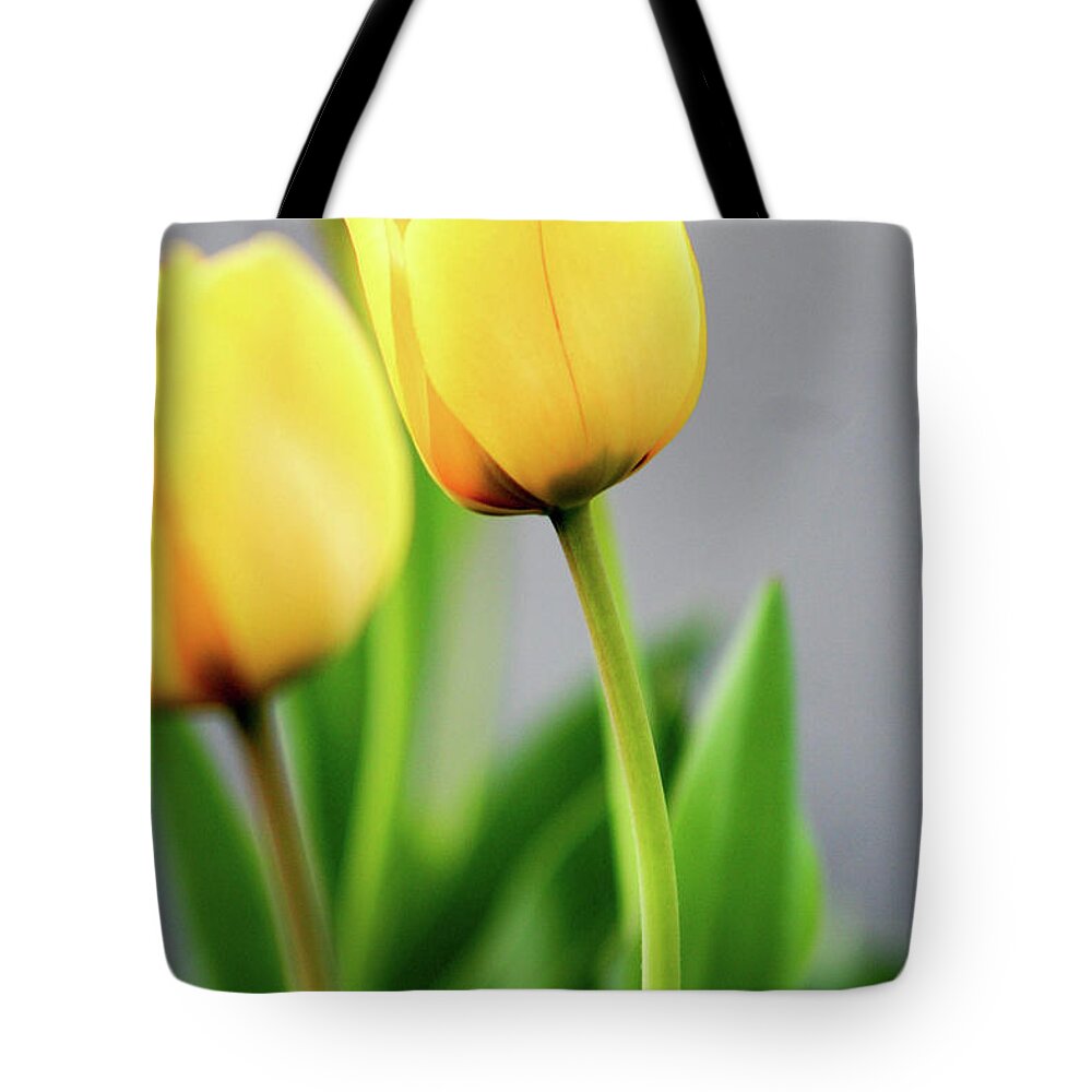 Floral Tote Bag featuring the photograph Yellow Tulips by Mary Anne Delgado