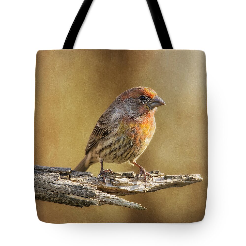 Chordata Tote Bag featuring the photograph Yellow Variant House Finch by Bill and Linda Tiepelman