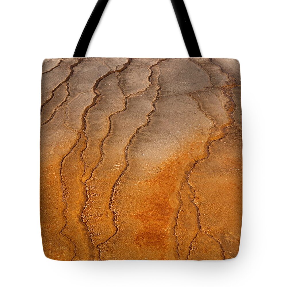 Texture Tote Bag featuring the photograph Yellowstone 2530 by Michael Fryd