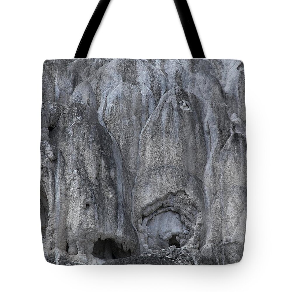 Texture Tote Bag featuring the photograph Yellowstone 3683 by Michael Fryd