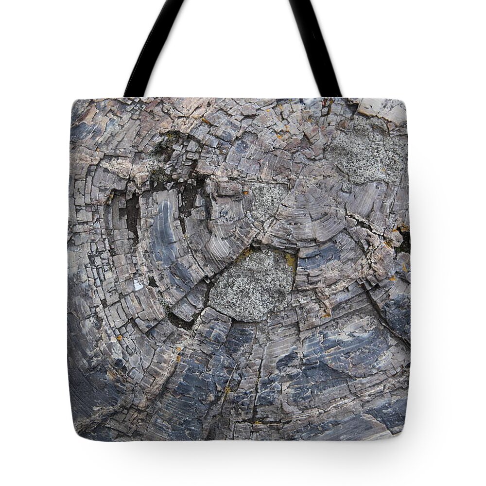 Texture Tote Bag featuring the photograph Yellowstone 3707 by Michael Fryd